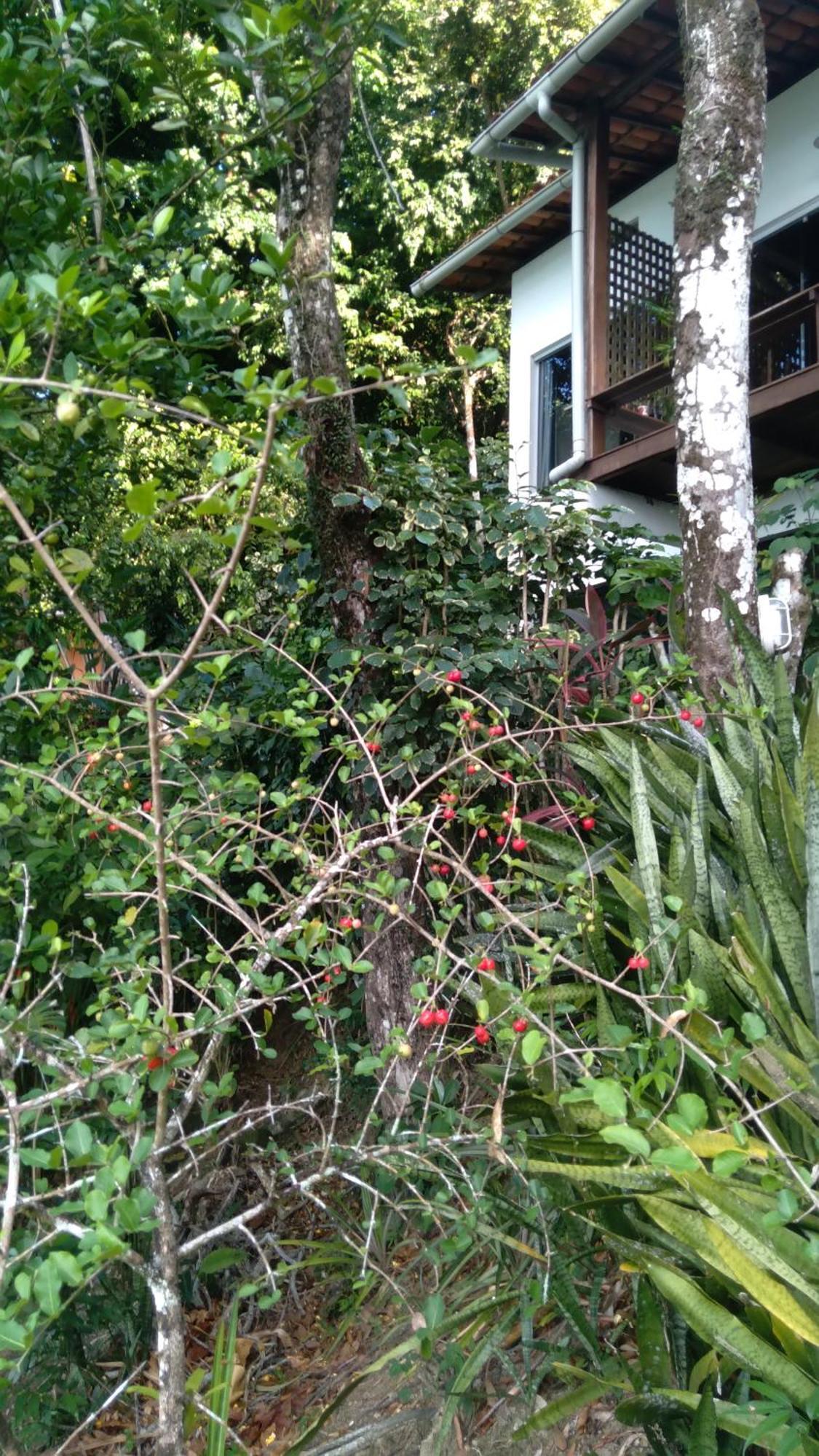 Casa Shuhari Villa Morro de São Paulo Екстериор снимка